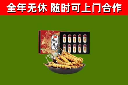 武平县回收冬虫夏草价格