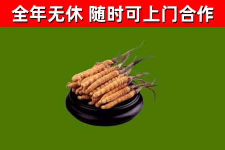 武平县烟酒回收冬虫夏草.jpg